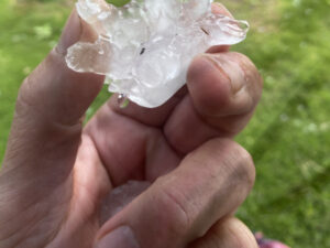 Hail hits Mallee hard