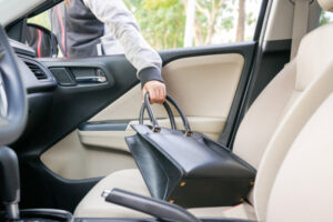 Vehicle theft hits high