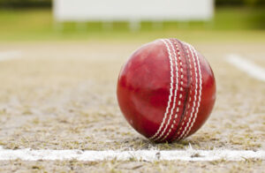 Sunraysia under-13 cricketers share honours