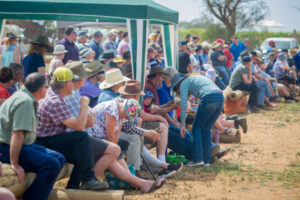 Tractor power on show