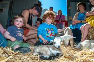 Wentworth Show a slice of country life