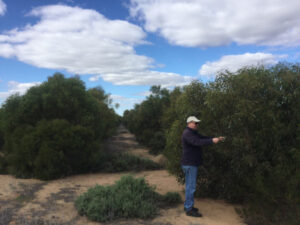 Carbon farming funds added to drought effort