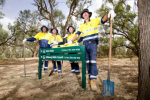 Jobs program a ‘godsend’ for drought-hit Mallee farmers