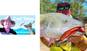 Lures find success deep in the snags