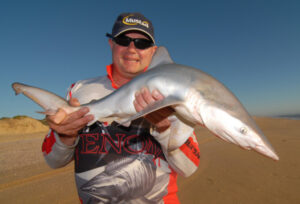 Cod Tales: Sea change offers relief