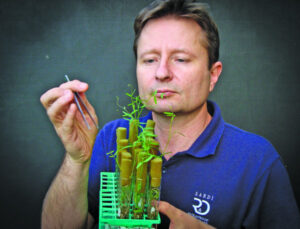 New strains offer hope