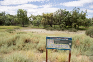Wetlands suffer dry spell