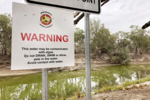 Yet another alert for Darling River