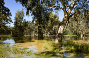 People’s forum will discuss river future