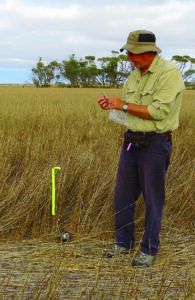 Wary eye kept on active mice