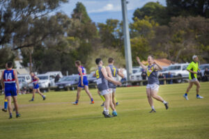 High-flying Swallows bring Roos back to earth