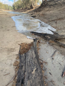 Murray-Darling Basin Plan water goes missing, say scientists