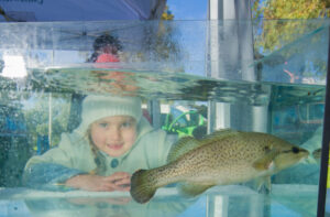 Open rivers are a fish’s friend