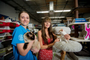 Think differently on pet adoption