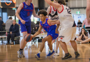 Three-way tie for ladder lead