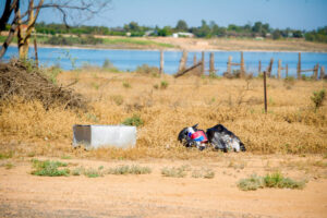 A rubbish dream of Utopia