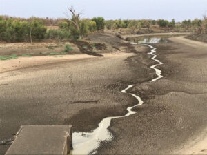 Pumps to the rescue at Menindee