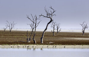 Murray-Darling Basin Authority goes dry on lakes overhaul