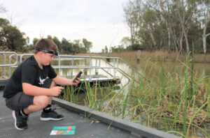 Mallee frogs call out for wetland monitoring