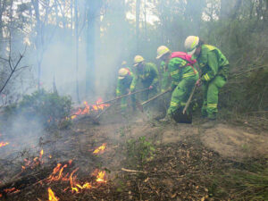 Boost to summer fire crews