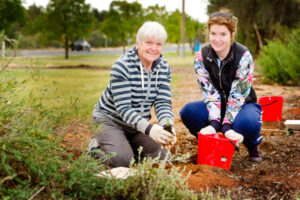 Green thumbs hard at work