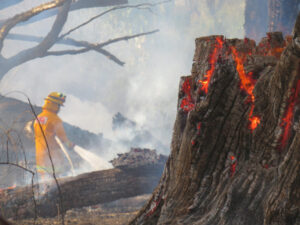 Firefighters tackle Nangiloc burn
