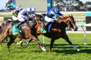 Trainer’s double shot