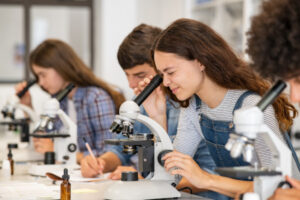 Year 12 numbers keep dropping