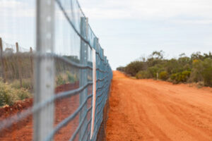 Boost for wild dog fence