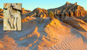 Government called on to help Mungo