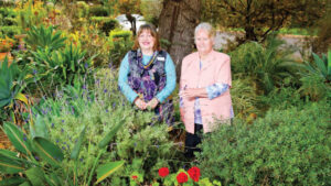 Sunraysia Garden Club puts spring blooms on show
