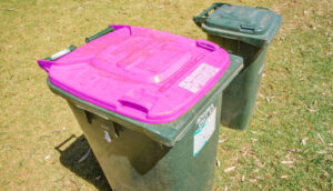 Get ready for a fourth bin, Victorian Government says
