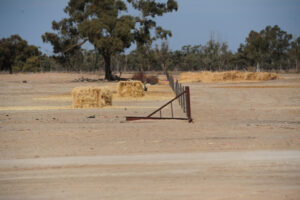 Feed testing vital to livestock health