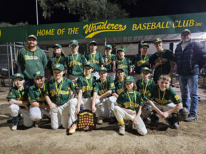 Wanderers claim junior crown