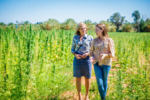 Legalising cannabis a “matter of time”, says Patten