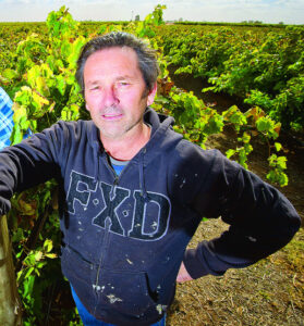 On a commission mission