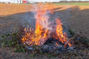 CFA concerned about burning issue