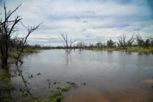 $10k grants for farm flood clean-up