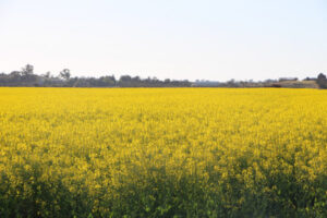 Farmers fear Labor’s super hit, MP claims