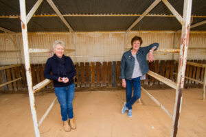 Wentworth Cup race day cancelled for second straight year