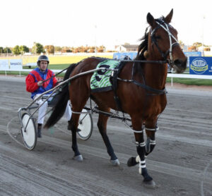 Mildura trots: One for the family