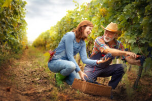 Could our farms be growing tourism?