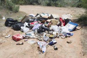 Disgrace: Rubbish defaces our greatest natural asset