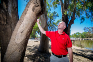 Root and branch review