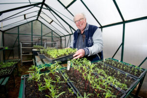 Flower power takes root in Red Cliffs