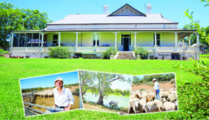 Own a slice of history