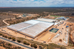 Cannabis plants set for Mildura cultivation site soon