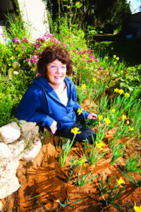 Flower show springs to life