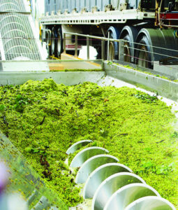 Wine tax row fermenting