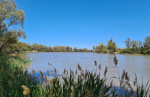 More environmental flows on the way